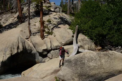 DSC_3814 (Large).JPG